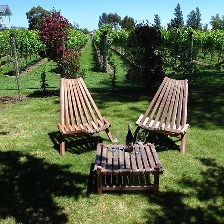 Villa In The Vines Martinborough Εξωτερικό φωτογραφία