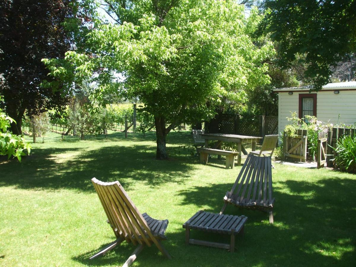 Villa In The Vines Martinborough Εξωτερικό φωτογραφία