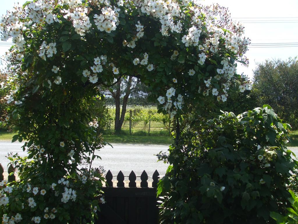 Villa In The Vines Martinborough Εξωτερικό φωτογραφία