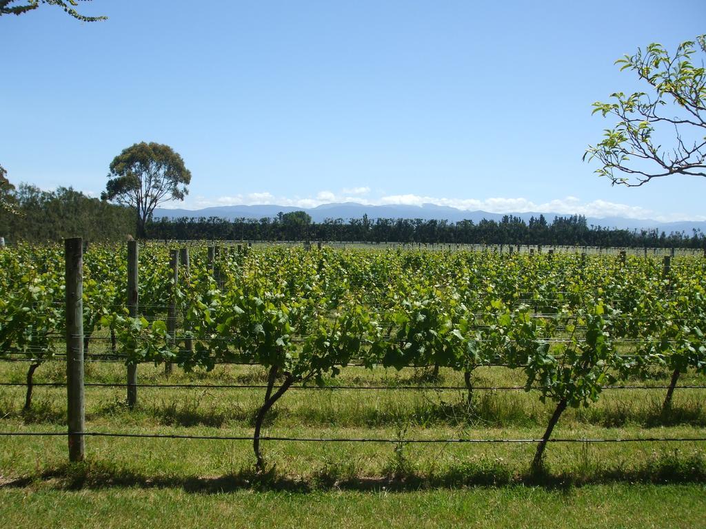 Villa In The Vines Martinborough Εξωτερικό φωτογραφία