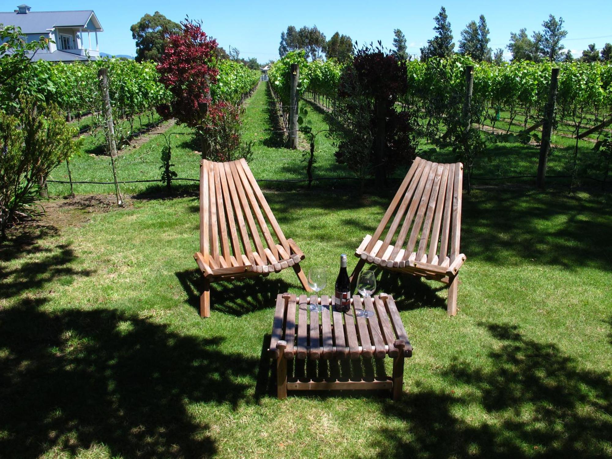 Villa In The Vines Martinborough Εξωτερικό φωτογραφία